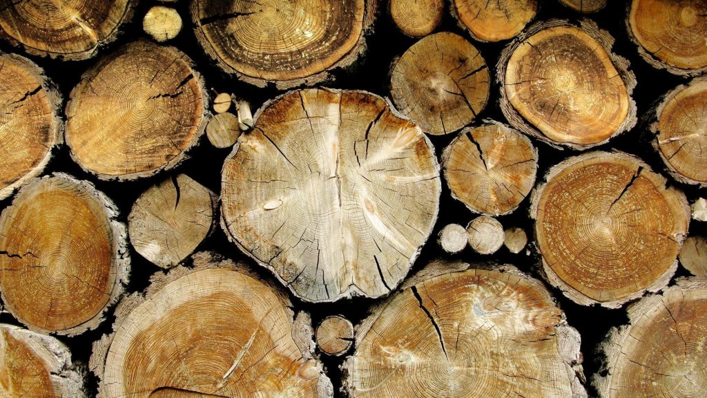 Capital Gains Tax on the Sale of Timber 1 Capital Gains Tax on the Sale of Timber