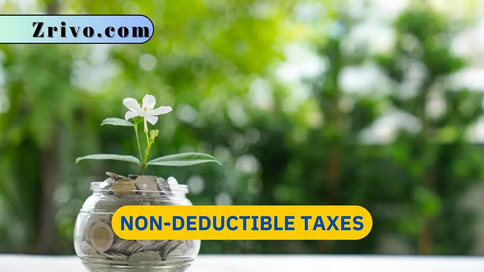Non-Deductible Taxes Non-Deductible Taxes