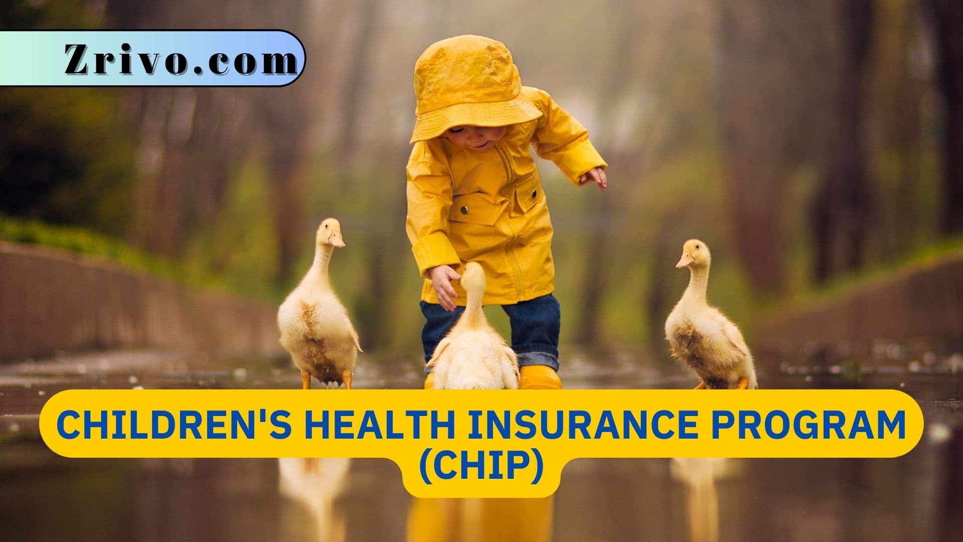 Children's Health Insurance Program (CHIP) Children's Health Insurance Program (CHIP)