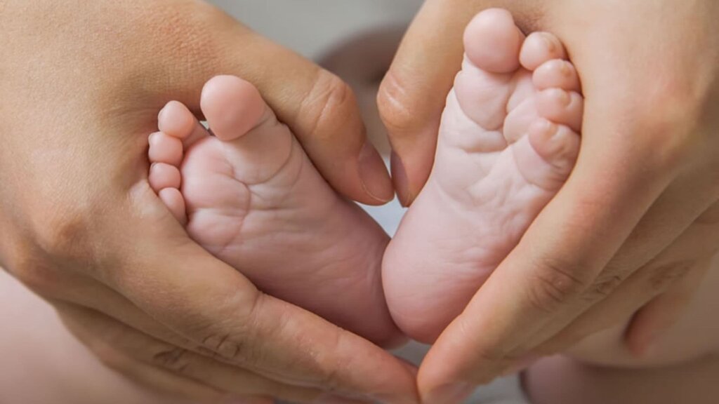 Massachusetts Paid Family and Medical Leave 1 What is the Difference Between MA PFML and FMLA
