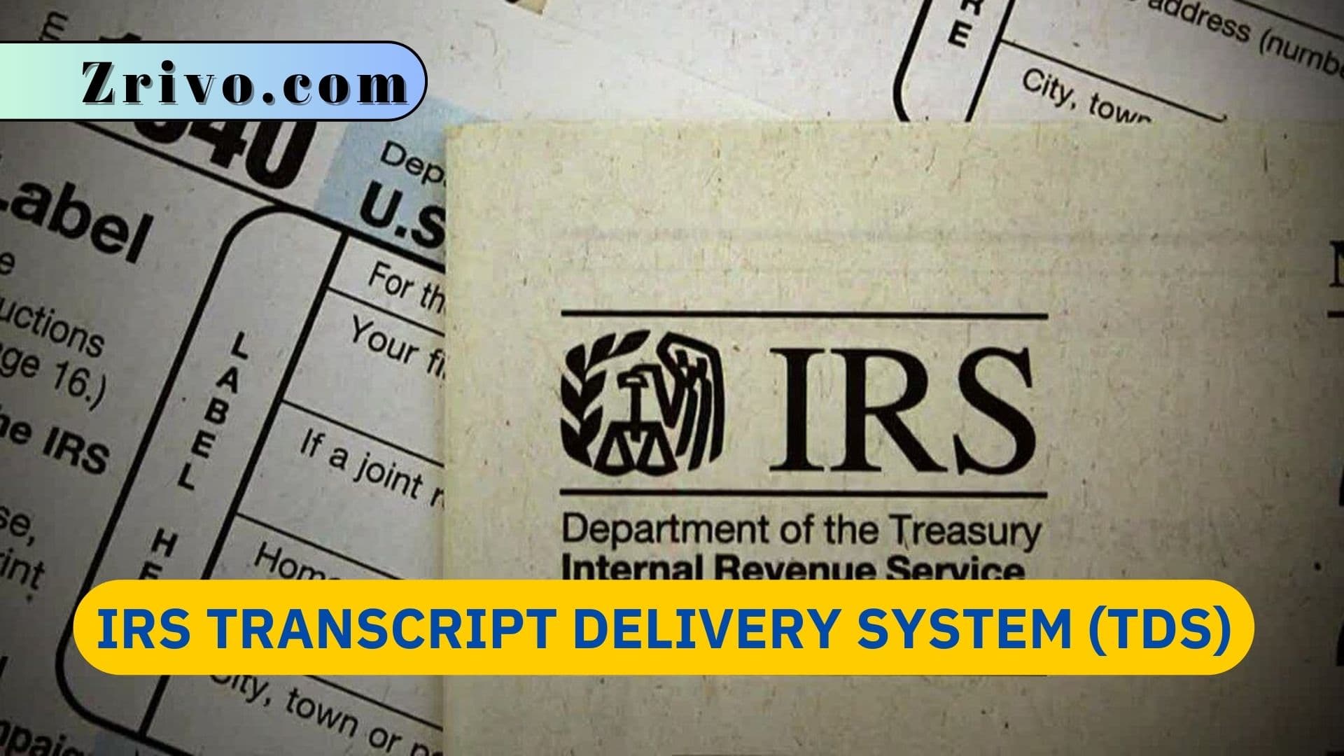 IRS Transcript Delivery System (TDS) IRS Transcript Delivery System (TDS)