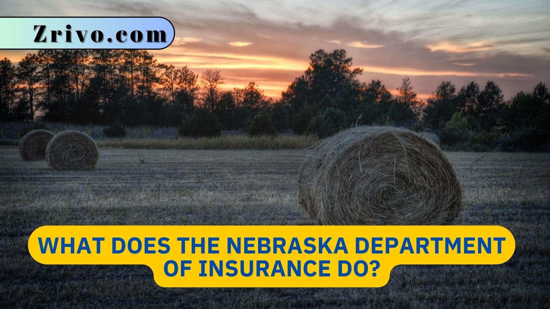 What Does the Nebraska Department of Insurance Do? What Does the Nebraska Department of Insurance Do