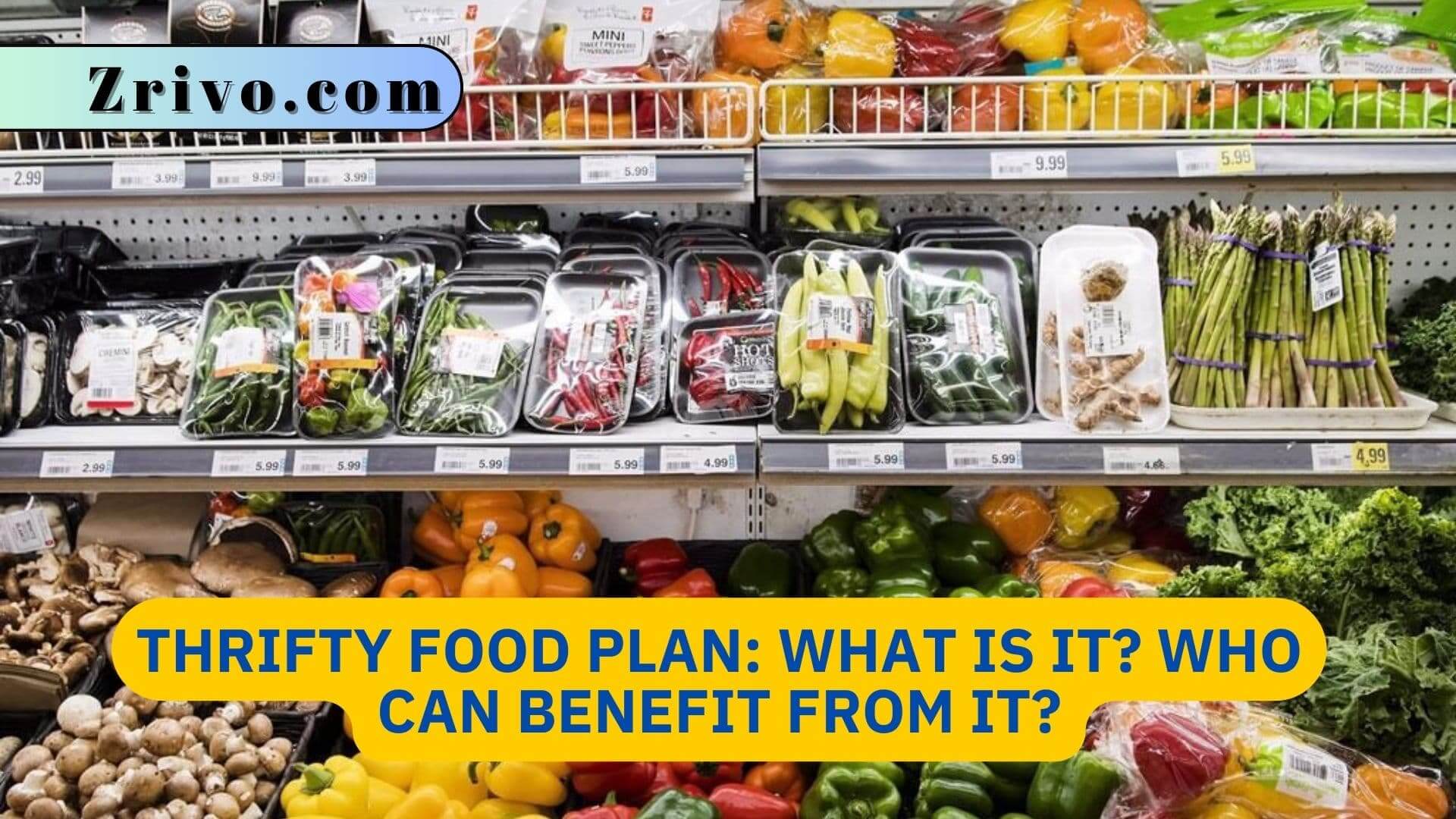 Thrifty Food Plan: What Is It? Who Can Benefit From It? Thrifty Food Plan What Is It Who Can Benefit From It